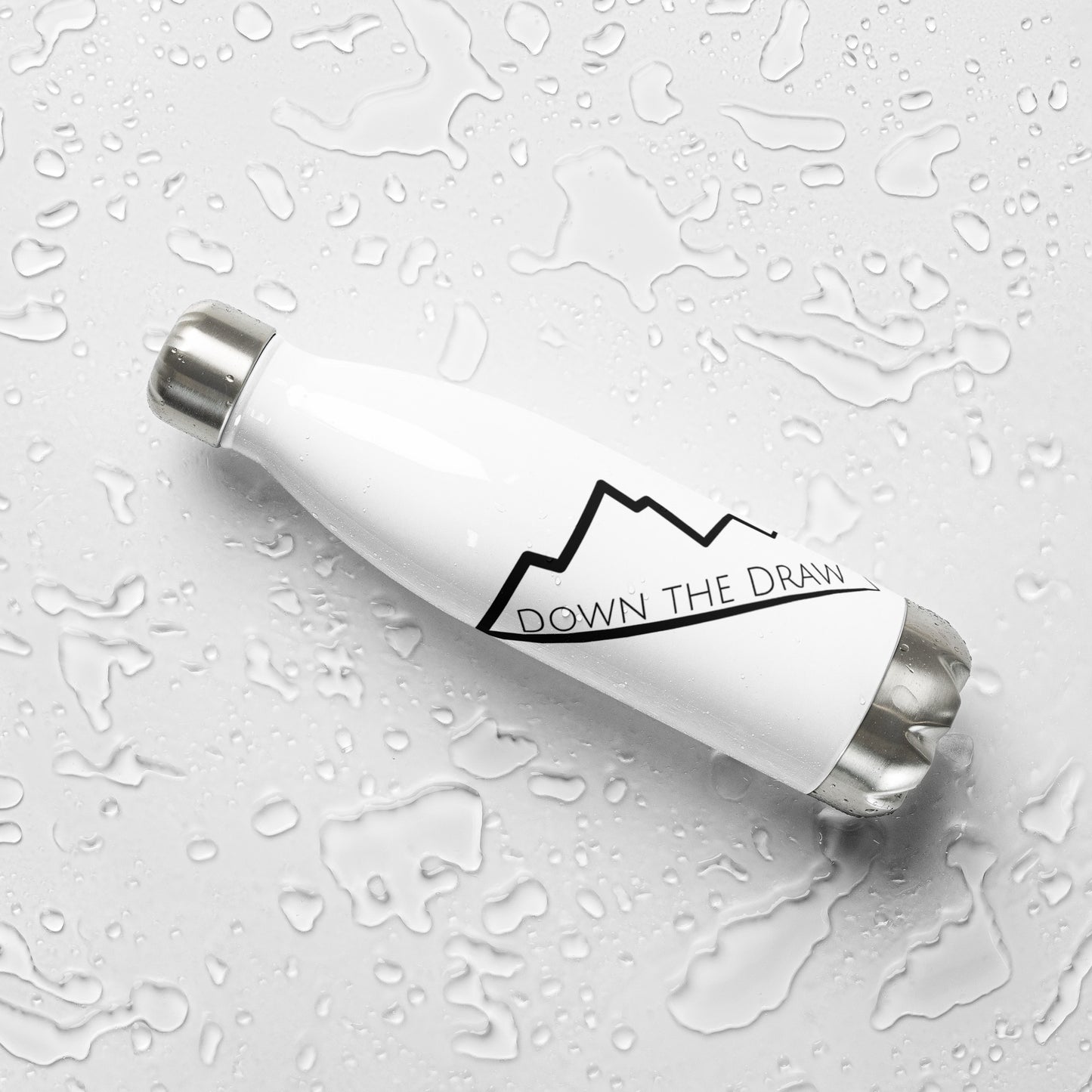 Stainless Steel Water Bottle
